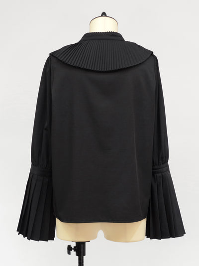 Fantasic Concerto pleated blouse